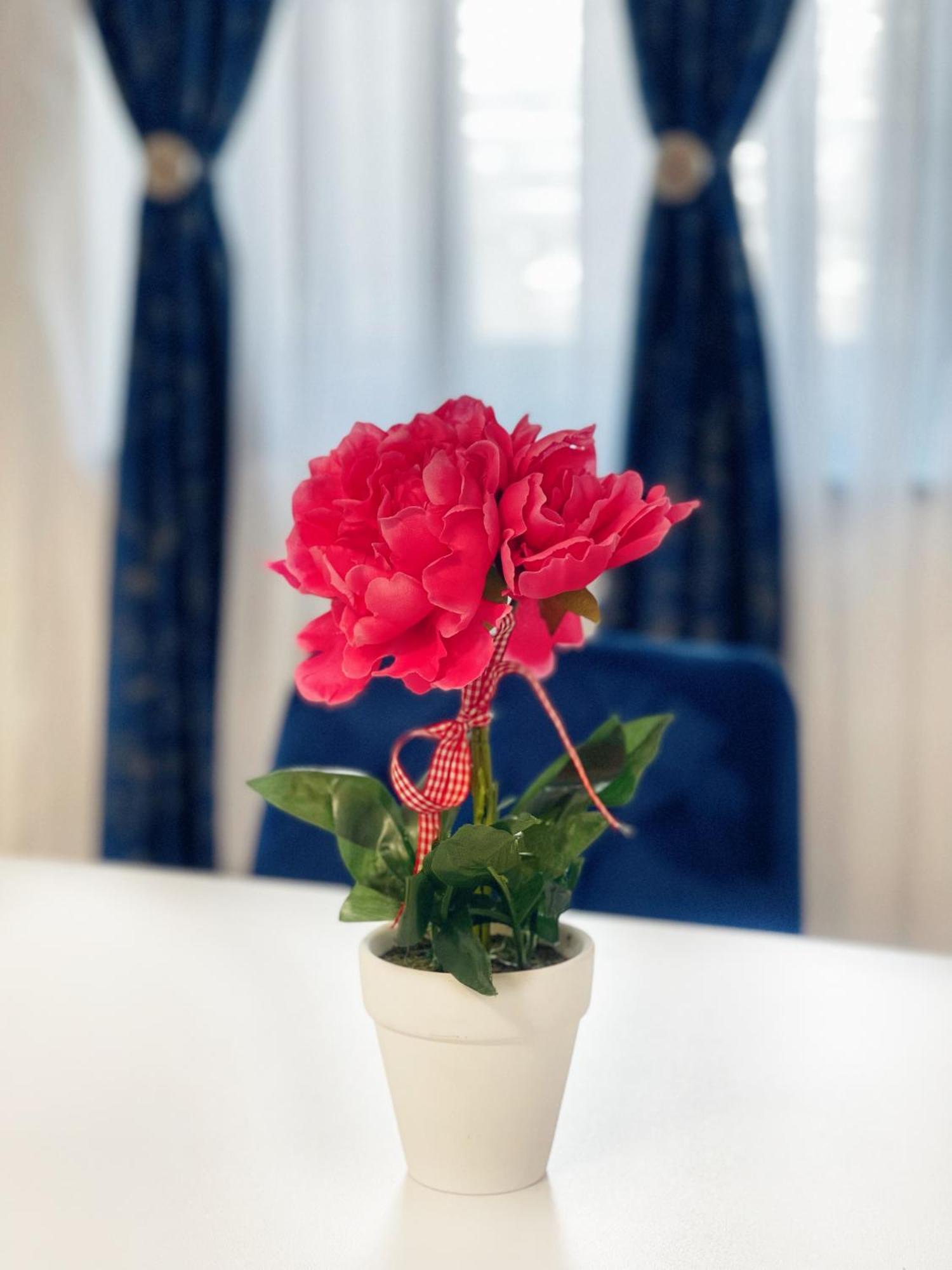 Rv Premium Apartments Arad Buitenkant foto